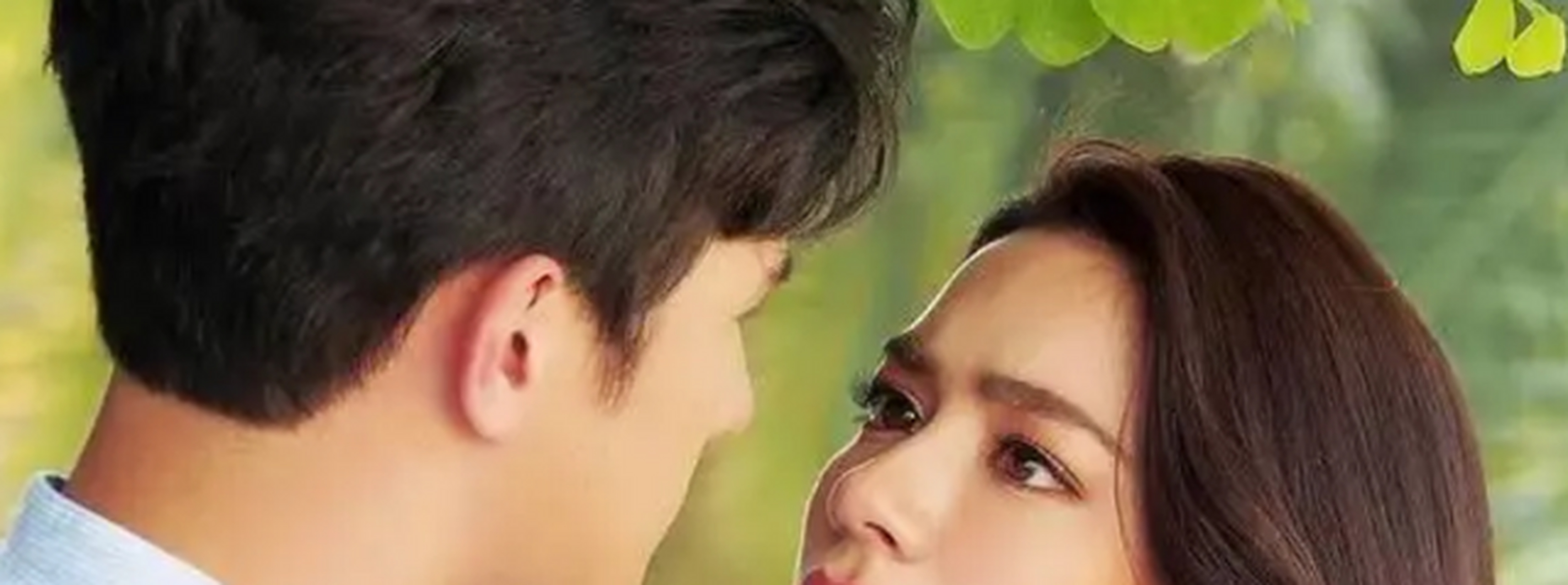 两生花分集剧情介绍,连续剧两生花剧情介绍