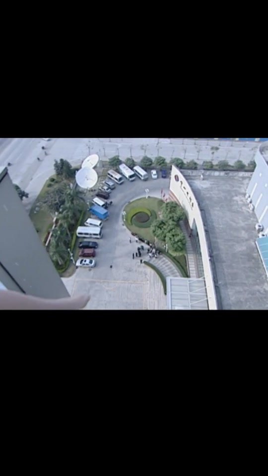 危情杜鹃剧情,危情杜鹃第12集