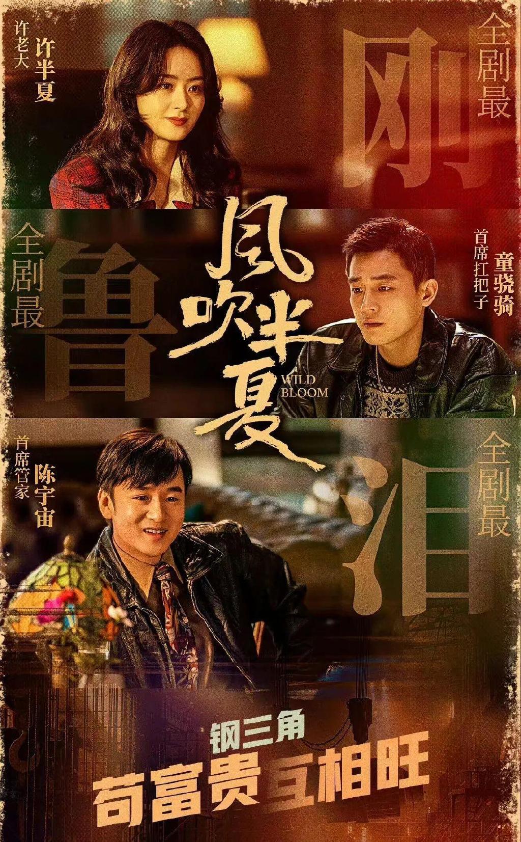 风吹半夏剧情介绍,风吹半夏剧情介绍哪集半夏怀孕了