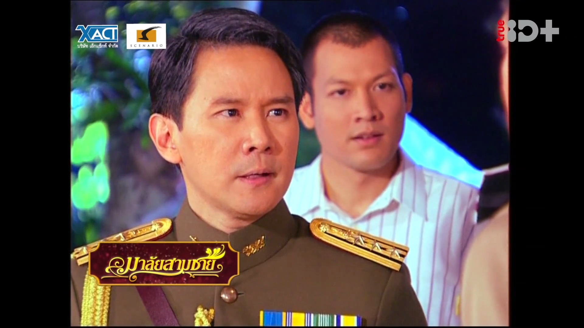 花环夫人剧情,花环夫人剧情大概