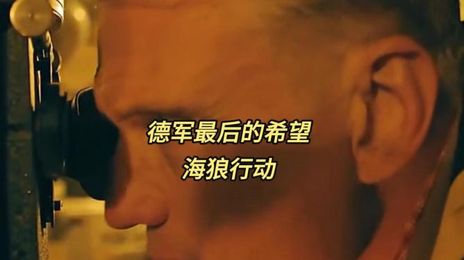 海狼行动剧情,海狼行动主演