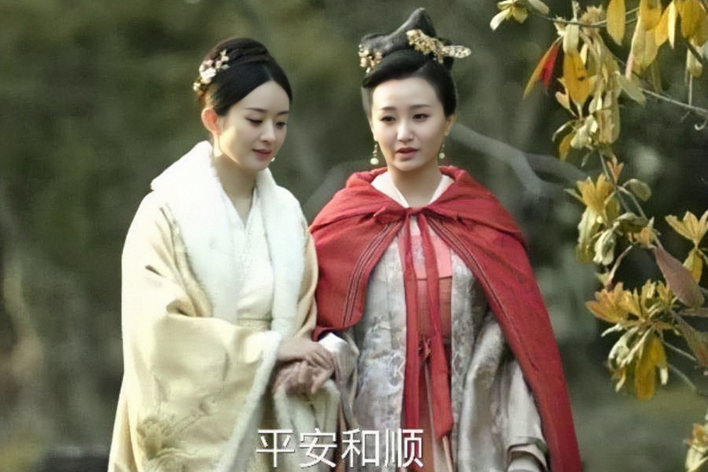 养女剧情介绍,养女剧情介绍分集