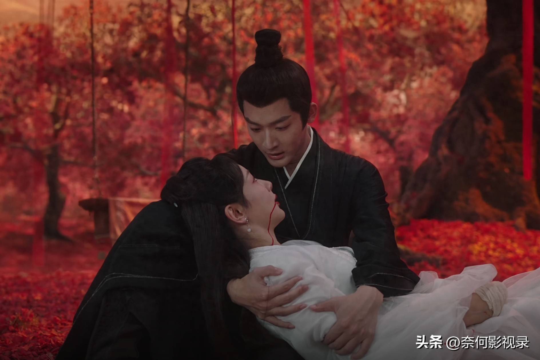 长相思剧情分集介绍,长相思剧情分集介绍大结局