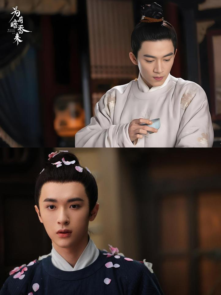 为有暗香来剧情介绍,为有暗香来全文