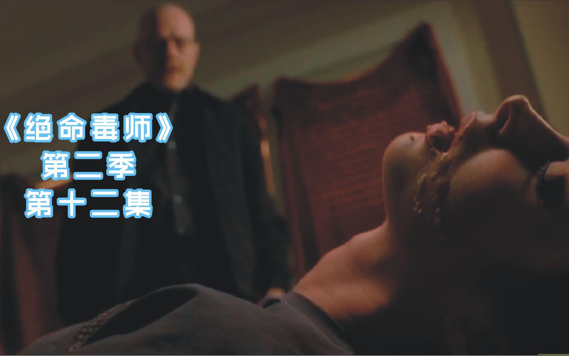 绝命毒师第二季剧情,绝命毒师 第二季 剧情