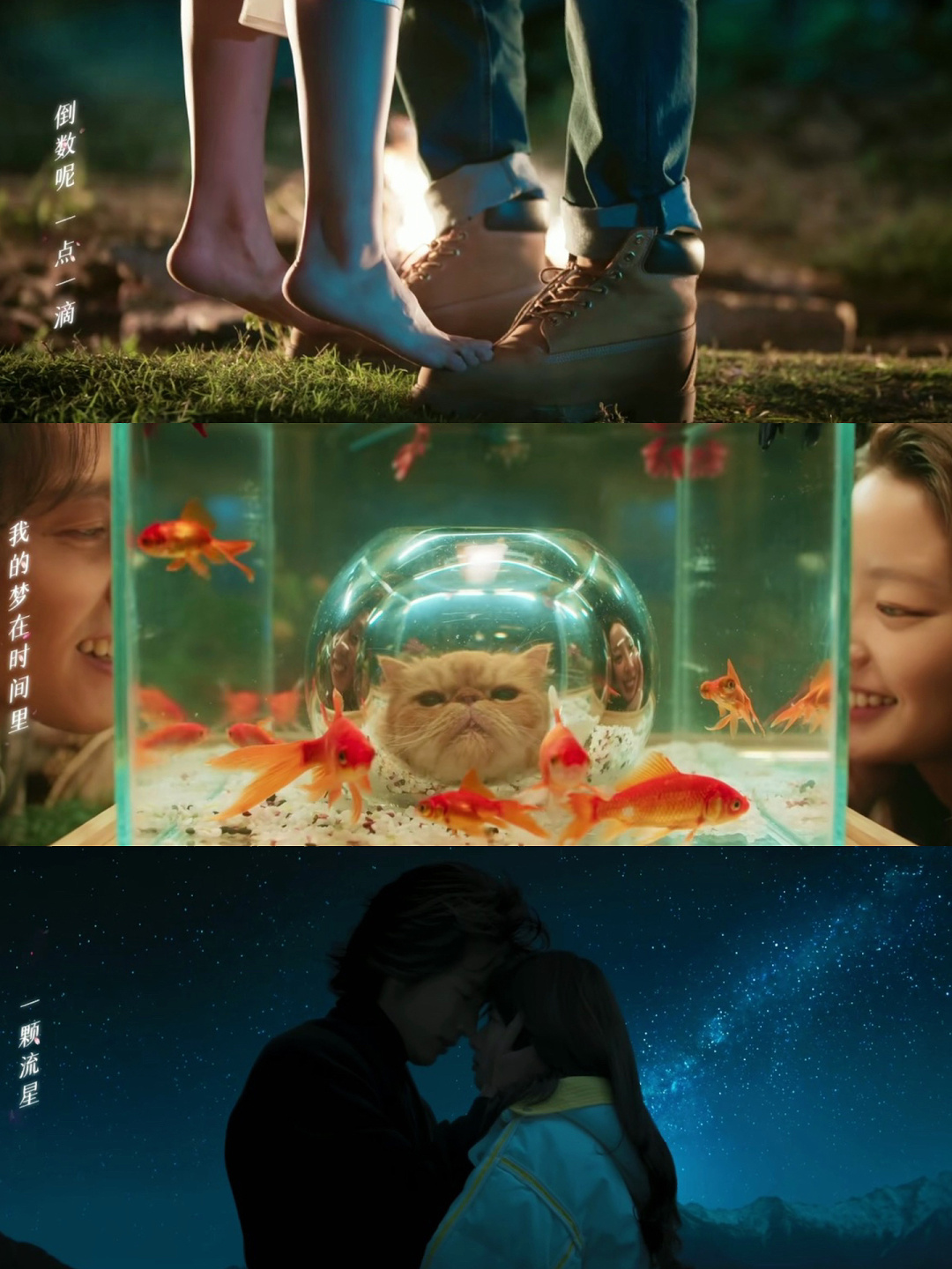 夏花剧情介绍,夏花剧情介绍大结局何冉死了没