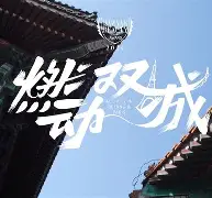 双城变奏剧情介绍,双城变奏演员表