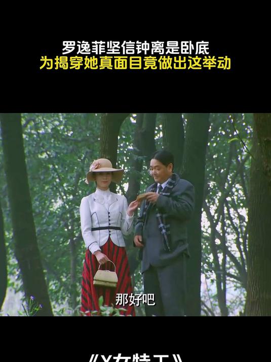 x女特工电视剧全集剧情介绍,x女特工电视剧全集剧情介绍大全