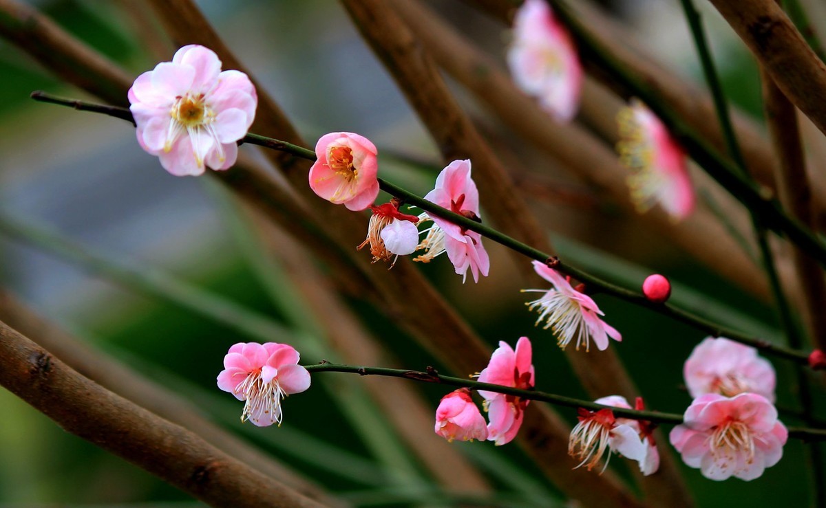 立春剧情,立春电影结局啥意思