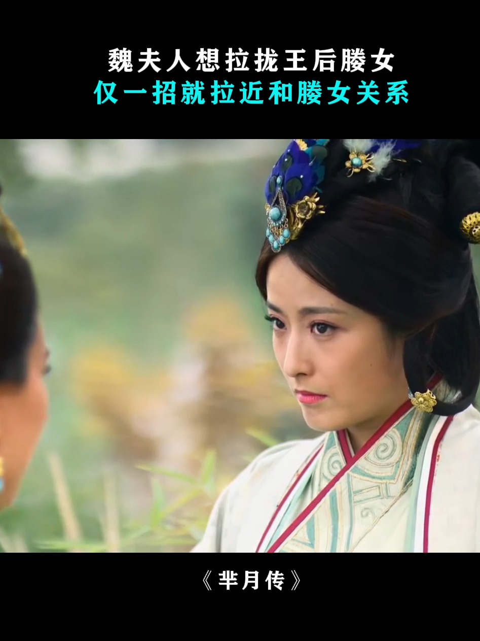 芈月传剧情简介,芈月传 剧情简介