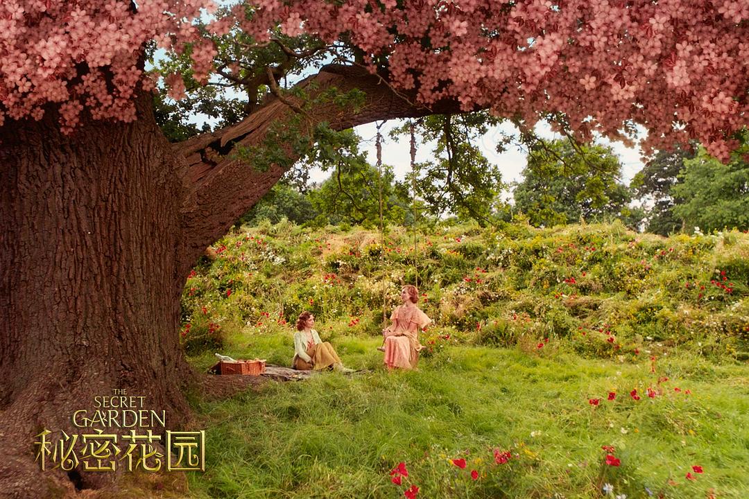 秘密花园剧情简介,秘密花园免费观看完整版