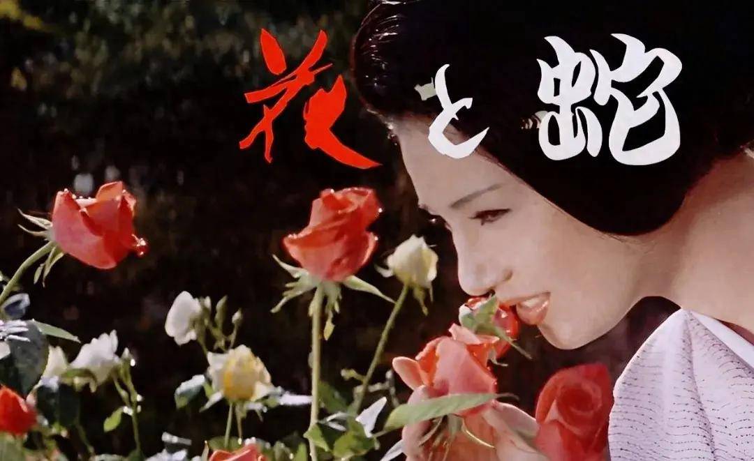 花与蛇剧情,花与蛇剧情分析详解