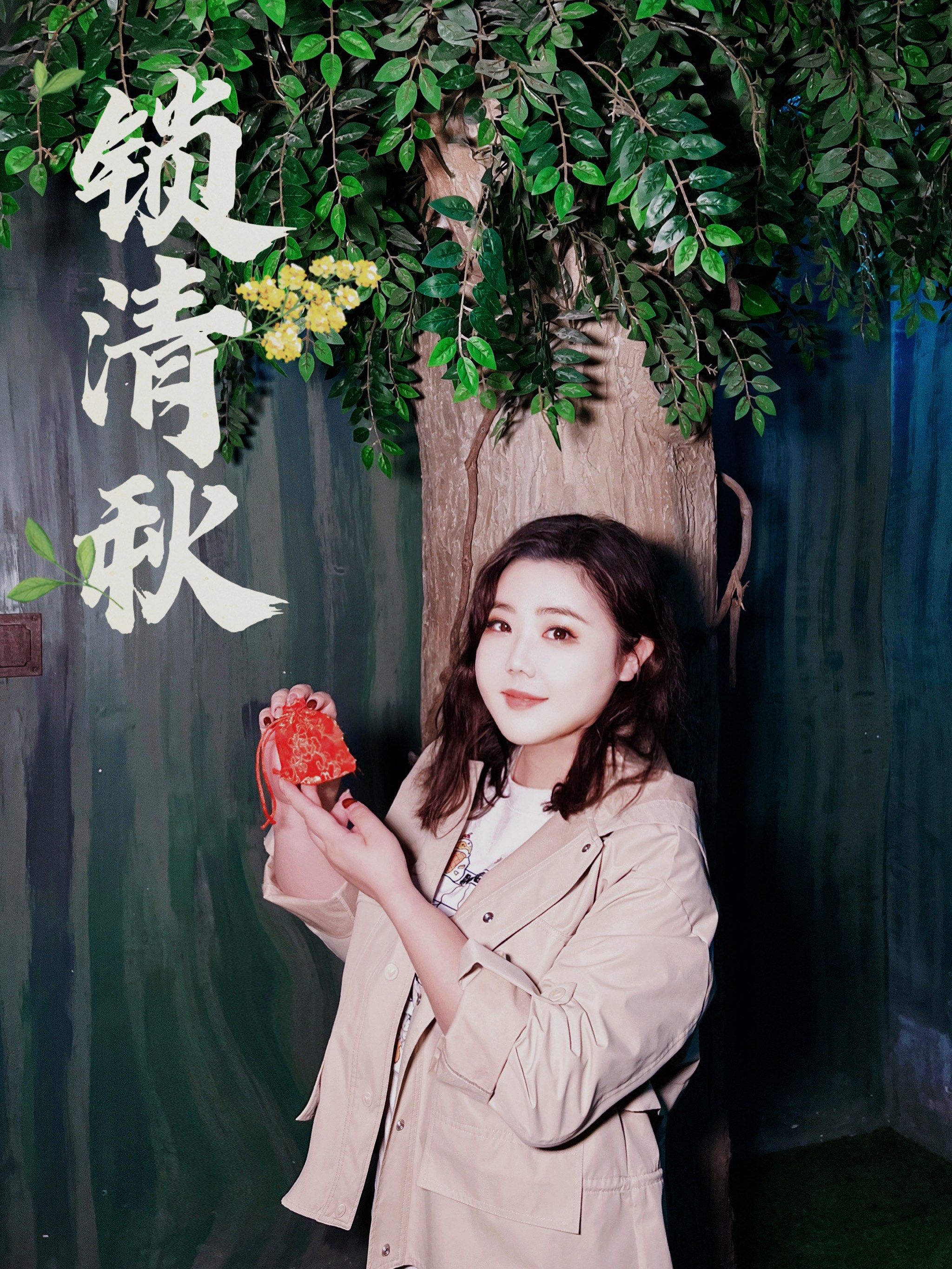 锁清秋剧情,锁清秋剧情介绍演员表