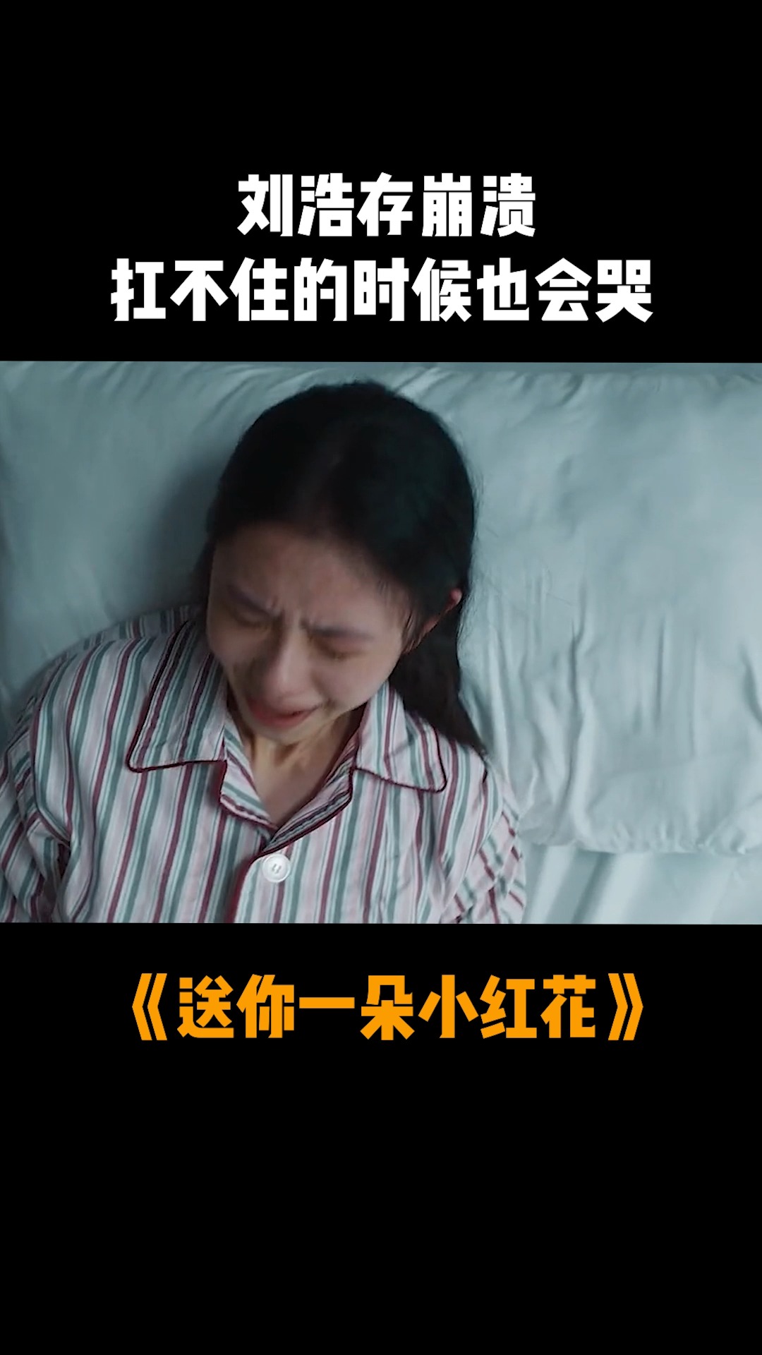 送你一朵小红花剧情,送你一朵小红花剧情简述