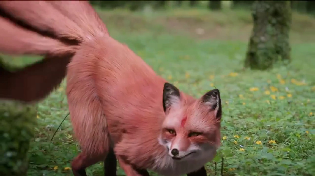 三生三世十里桃花剧情分集介绍,三生三世十里桃花剧情分集介绍电视猫