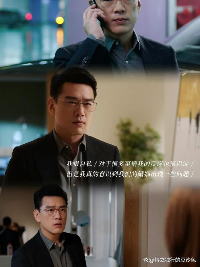 完美伴侣剧情介绍,完美伴侣免费观看完整版