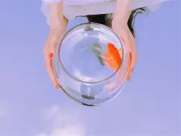 空镜子剧情简介,电视剧空镜子