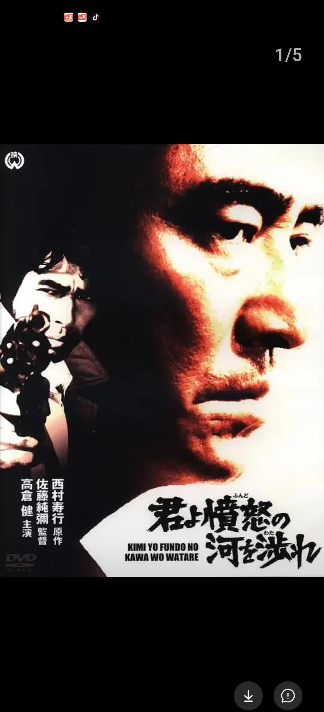 追捕剧情介绍,电视剧大追捕剧情介绍