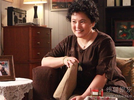 儿女情更长剧情介绍,儿女情更长电视连续剧大结局