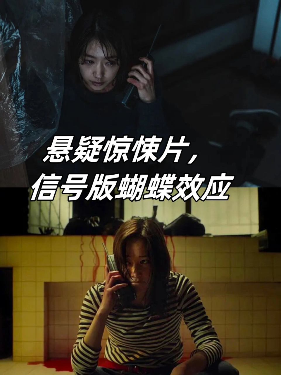 蝴蝶效应剧情,蝴蝶效应到底是哪个结局