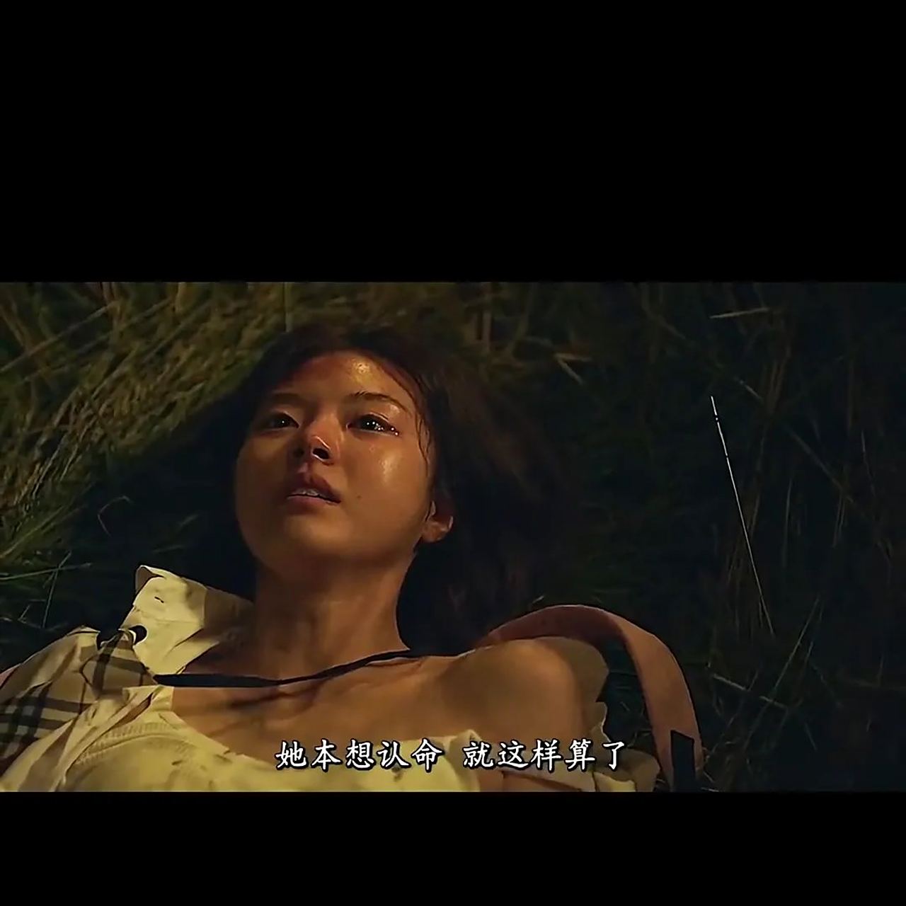 掩护剧情,掩护剧情简介详细