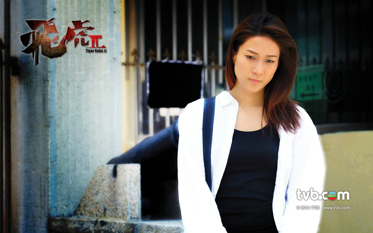 飞虎2剧情,飞虎剧情介绍