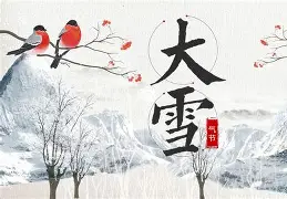 大雪无痕剧情简介,电视连续剧大雪无痕剧情介绍