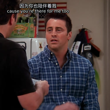 老友记第十季剧情,老友记第十季剧情梗概