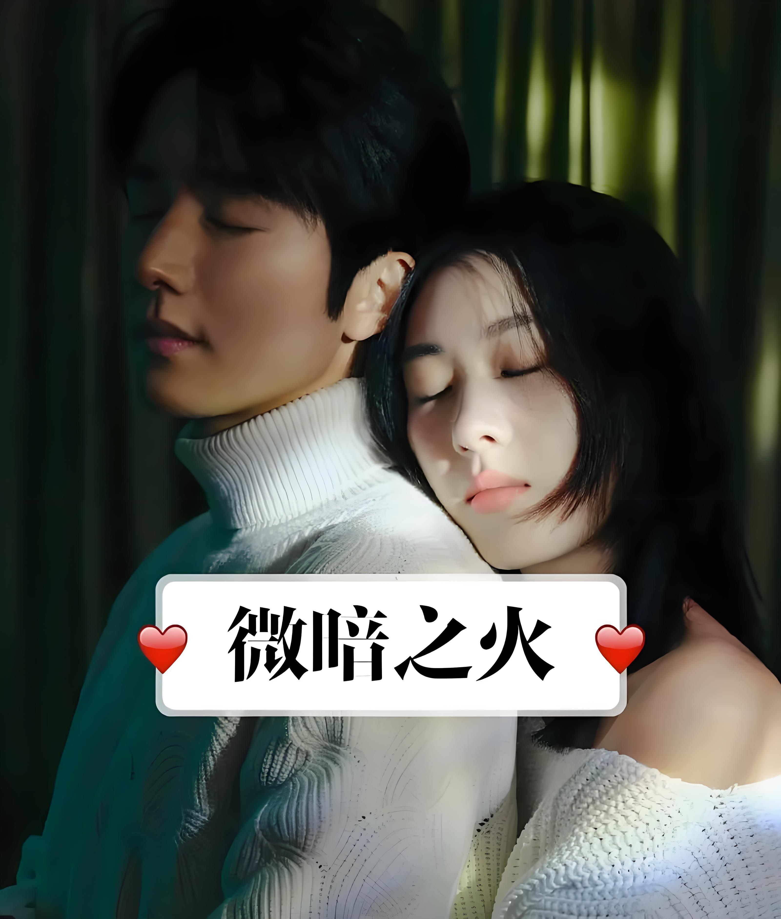 微暗之火的剧情简介,微暗之火的剧情简介是什么