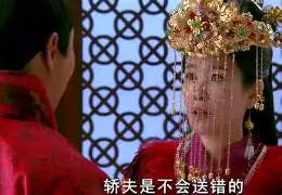 凤穿牡丹分集剧情,凤穿牡丹电视剧全集剧情介绍