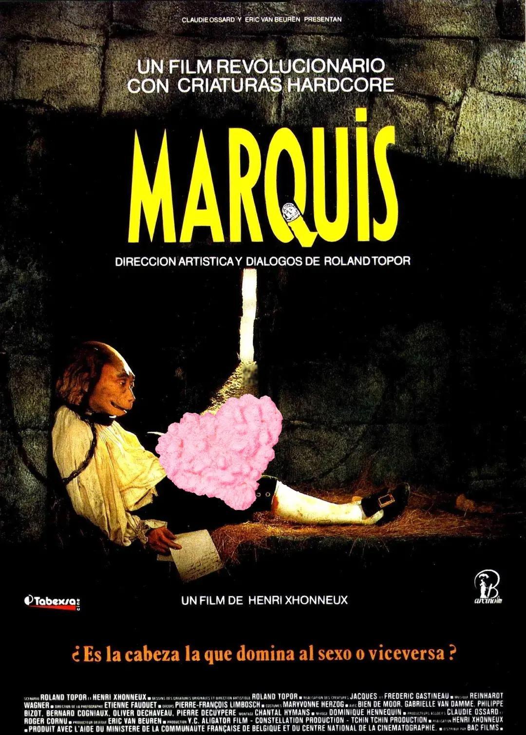 电影炼狱,电影炼狱免费播放