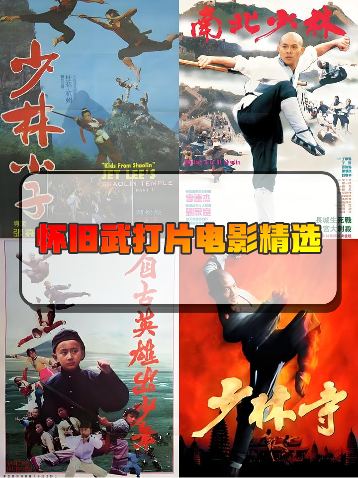 少林小子电影,少林小子电影讲解
