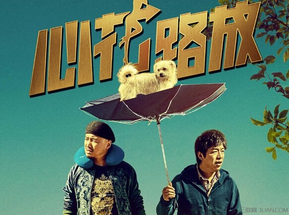 心花路放电影完整版,心花路放电影完整版超清版