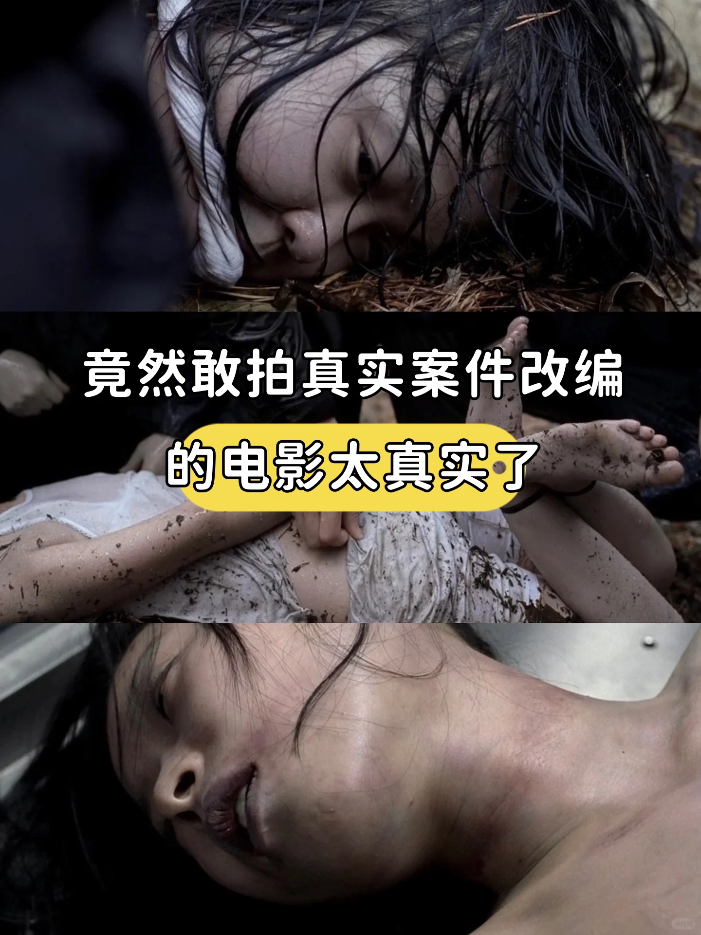 女蛹电影,女蛹电影剧情