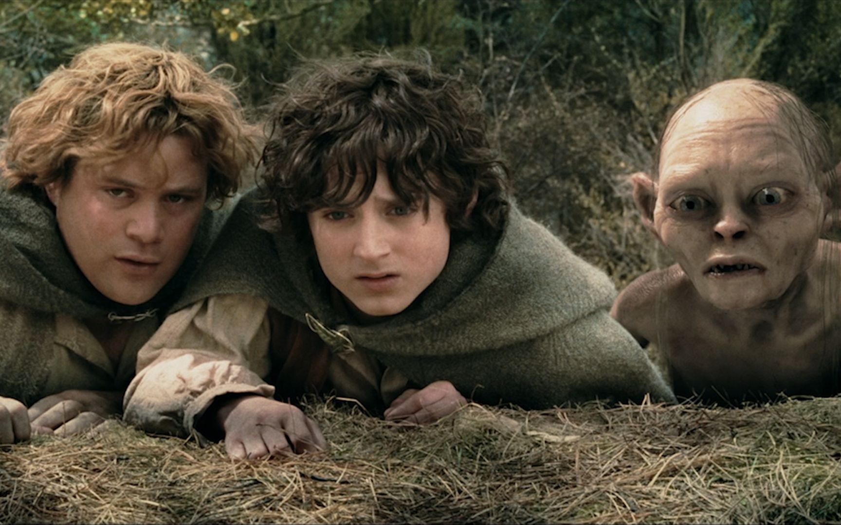 指环王2电影,指环王电影导演