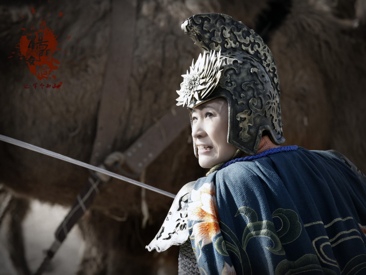 杨门女将电影下载,杨门女将电视剧高清资源