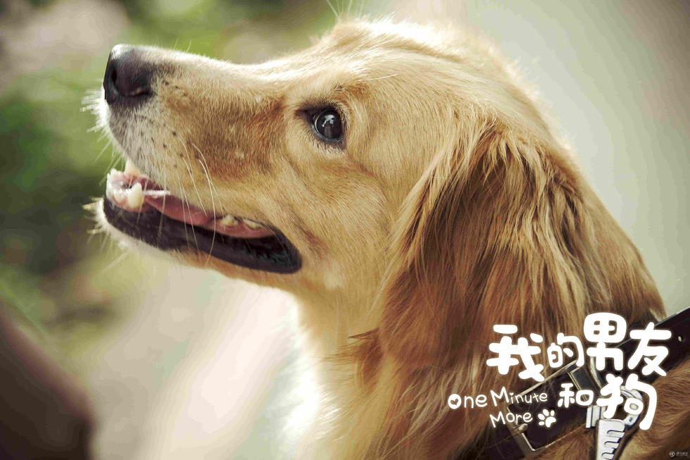 我的男友和狗电影,我的男友和狗 演员表