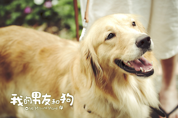 我的男友和狗电影,我的男友和狗 演员表