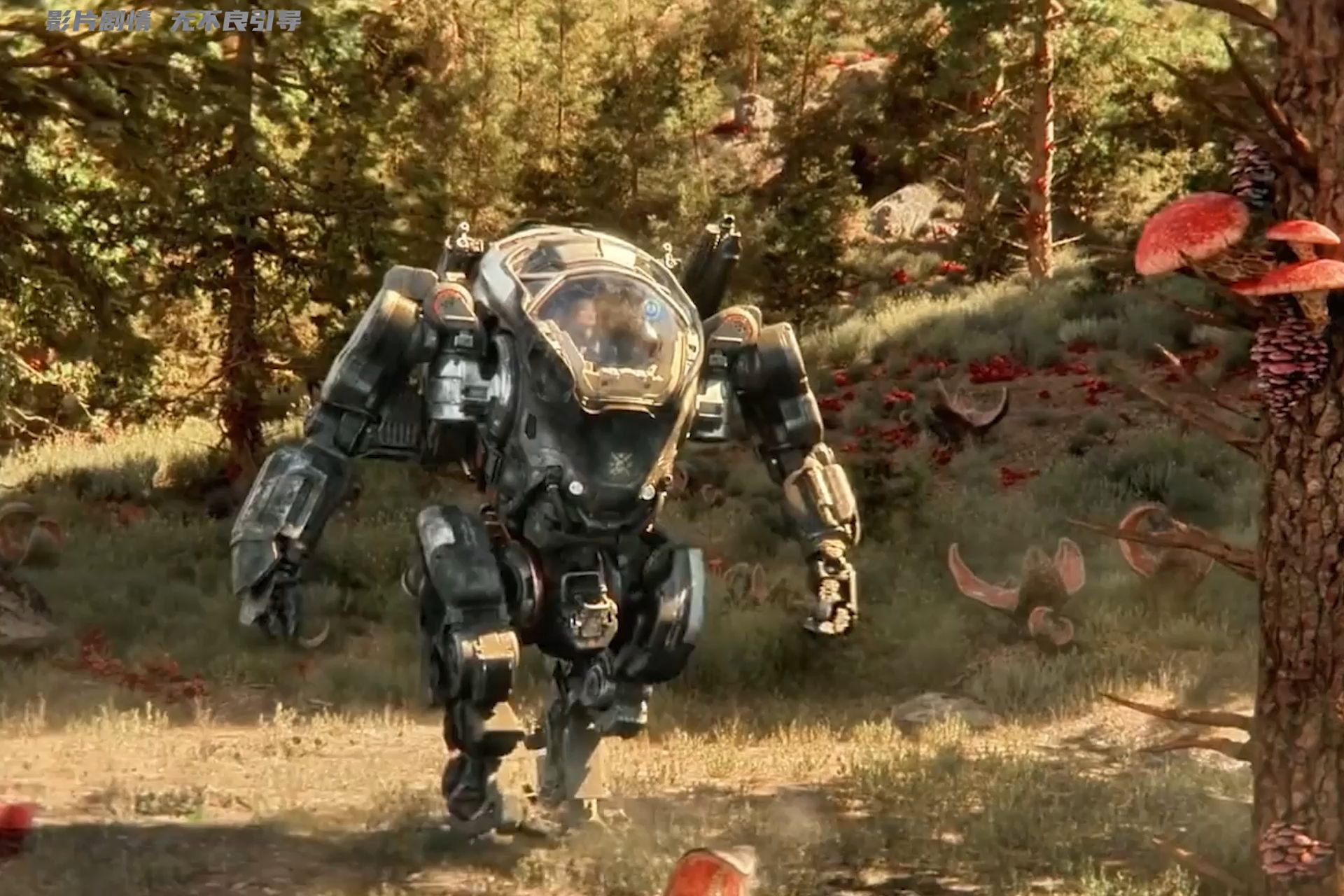 电影异星战场,电影异星战场高清在线观看