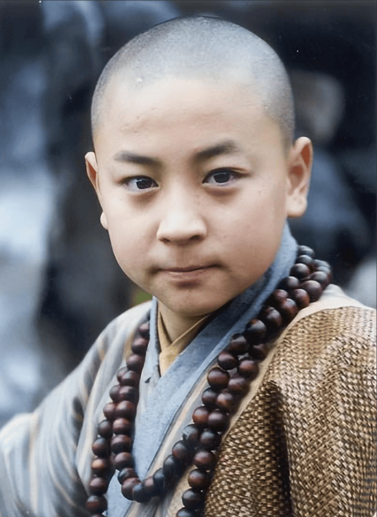 电影龙在少林,龙在少林电影免费观看完整版国语