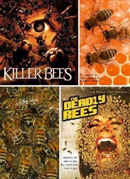 杀人蜂电影,食人狮大战电影