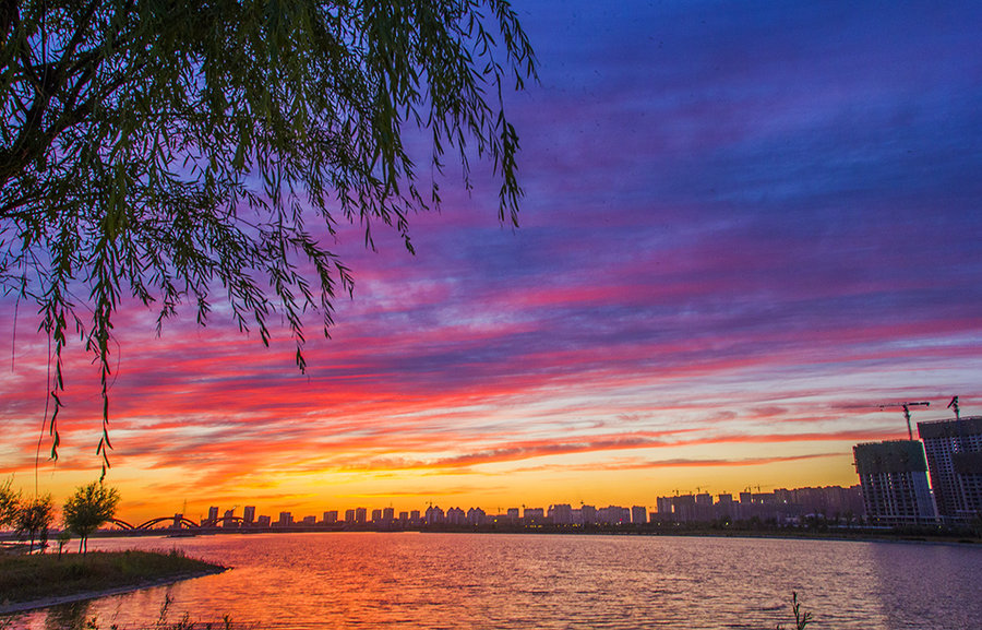 日落之后电影,日落之后电影完整版免费观看