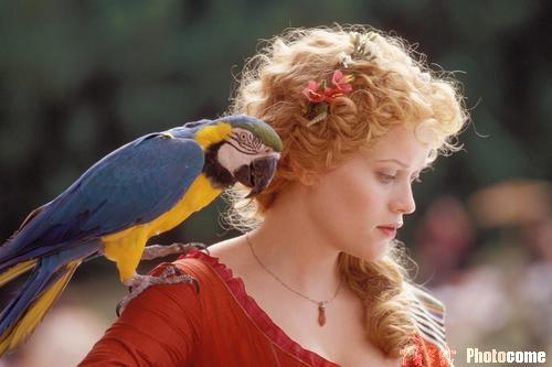 名利场电影,名利场电影完整版在线免费西瓜中文版