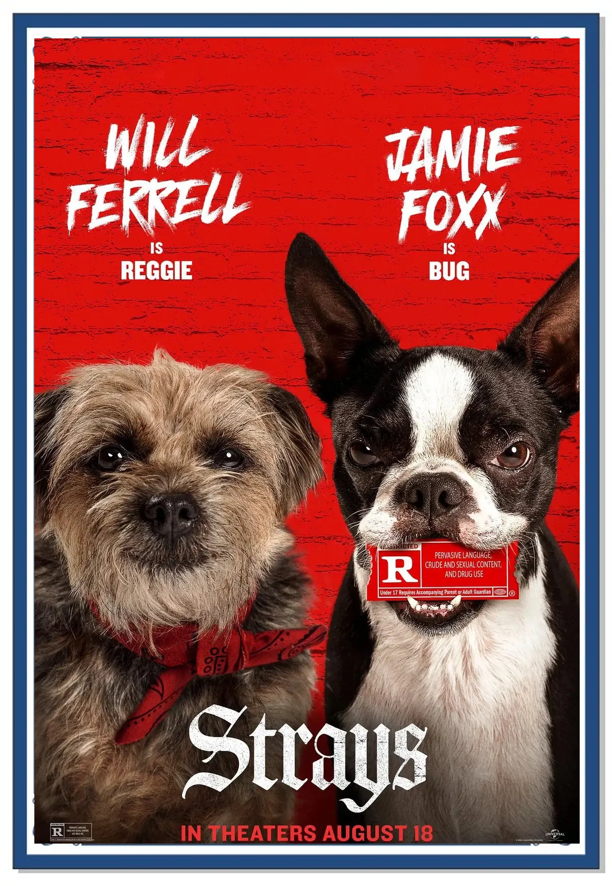 疯狗电影下载,疯狗资源联盟电影下载网站