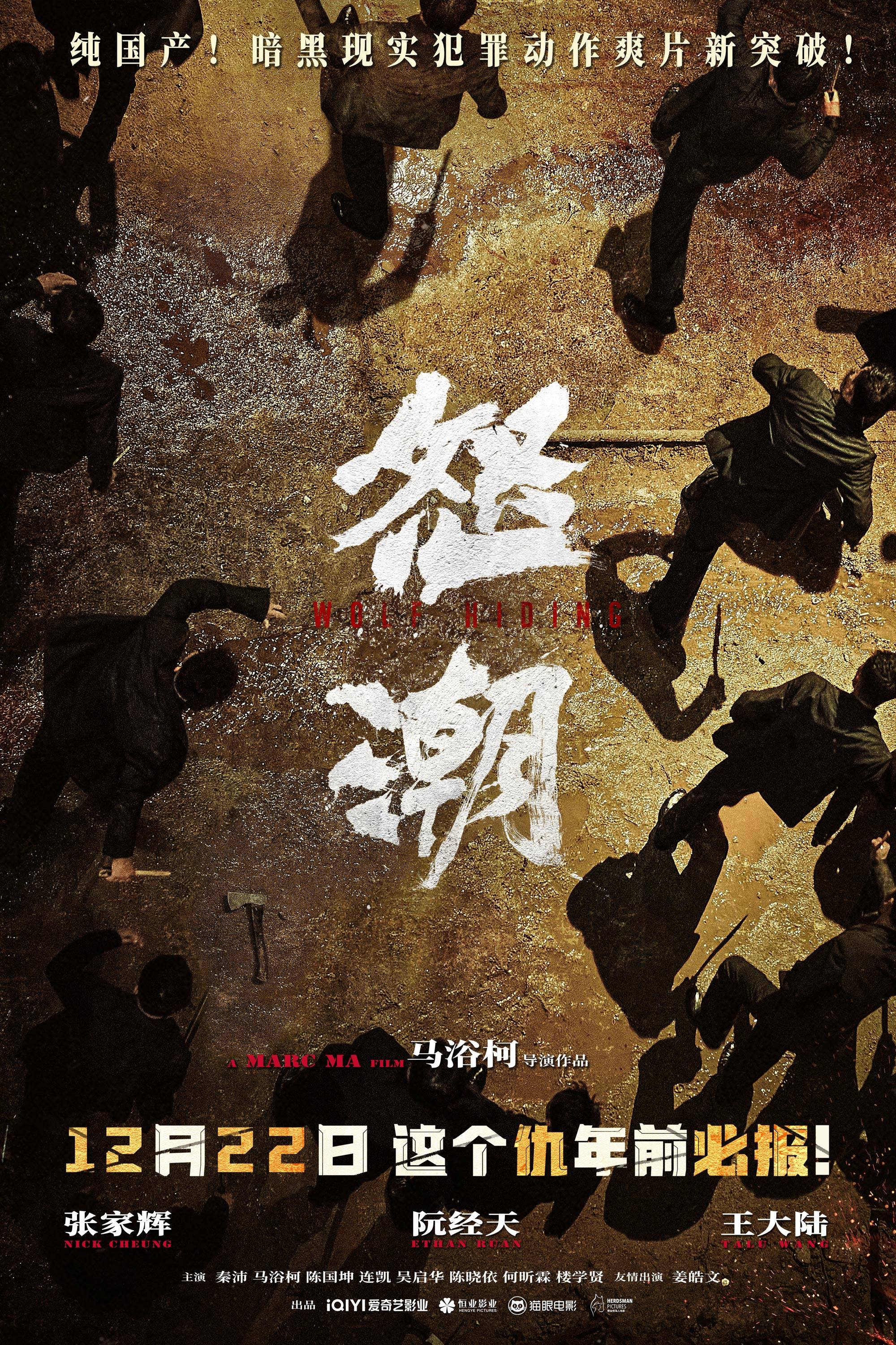 浪潮电影,浪潮电影解说