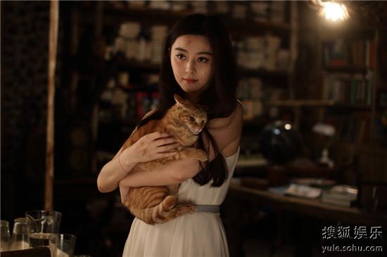 一夜惊喜电影,一夜惊喜电影片段