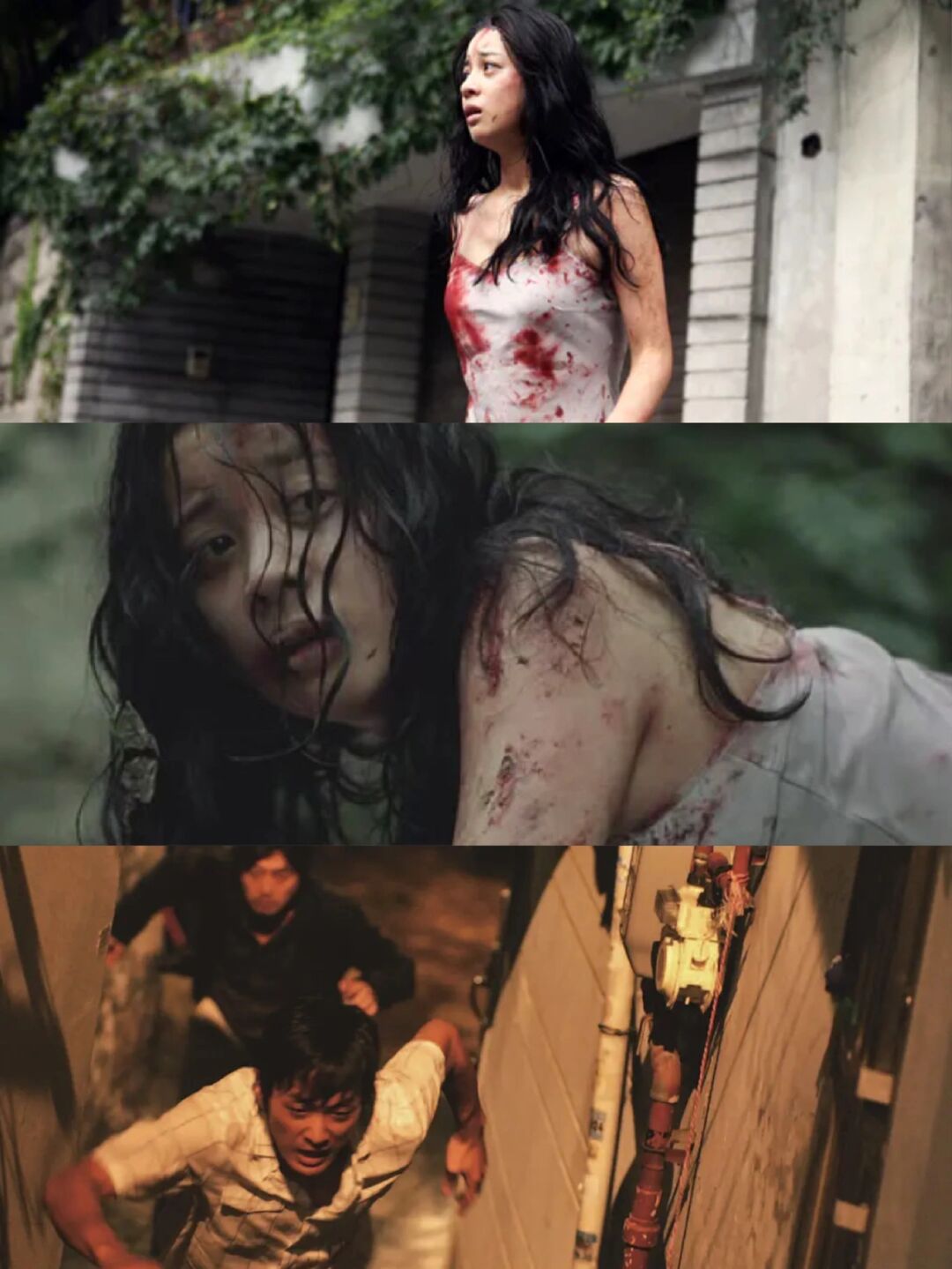 real真实电影完整版观看,real真实电影完整版观看在线