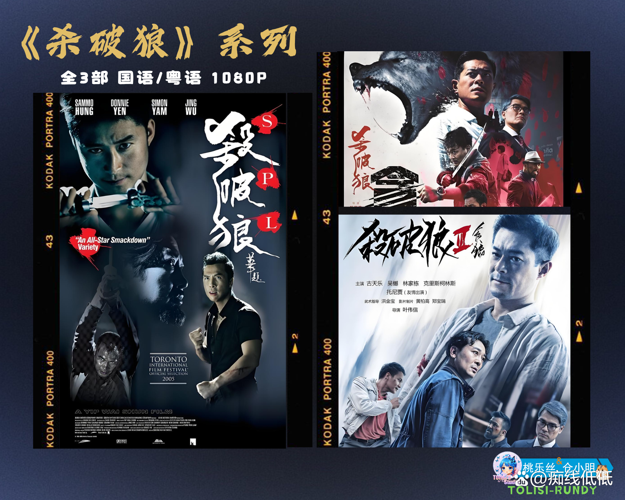 电影杀破狼,电影杀破狼演员表