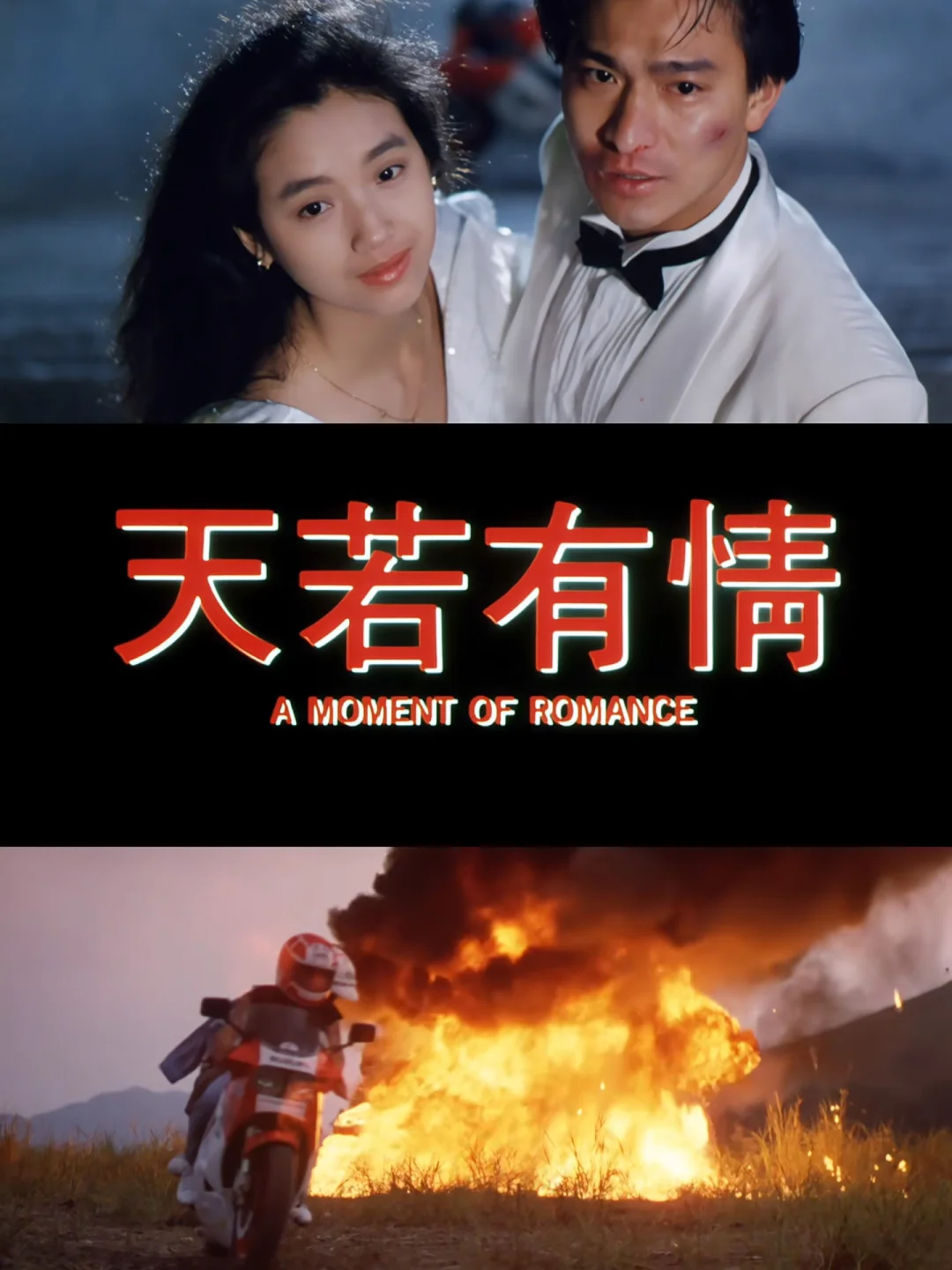 电影斗鱼,电影斗鱼每个人结局