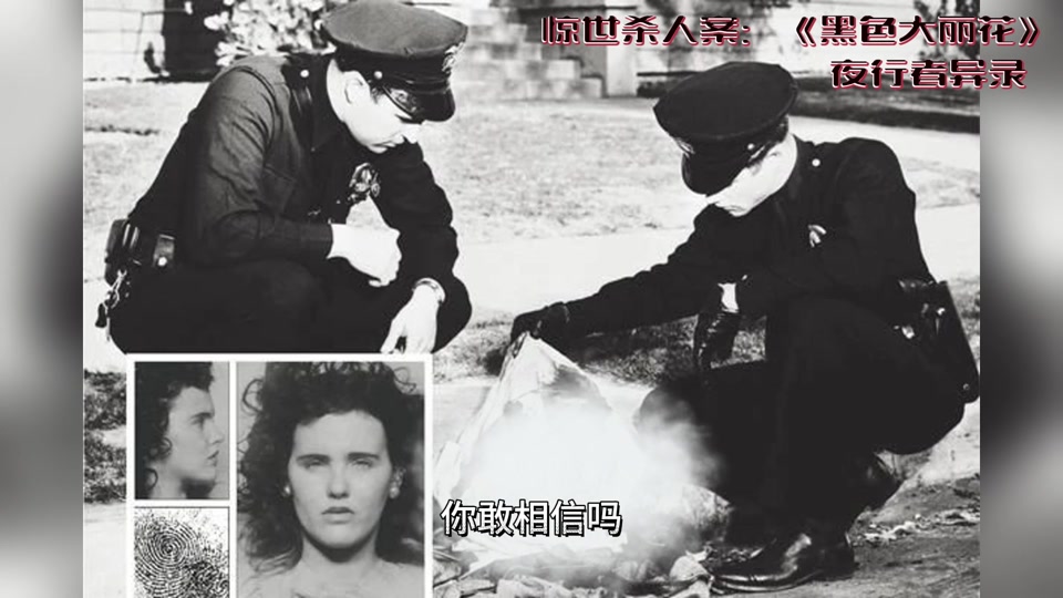 电影黑色大丽花,电影黑色大丽花剧情介绍